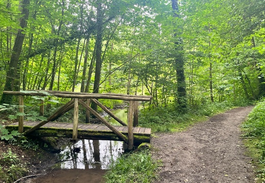 22-06-06 13-29-13 1064